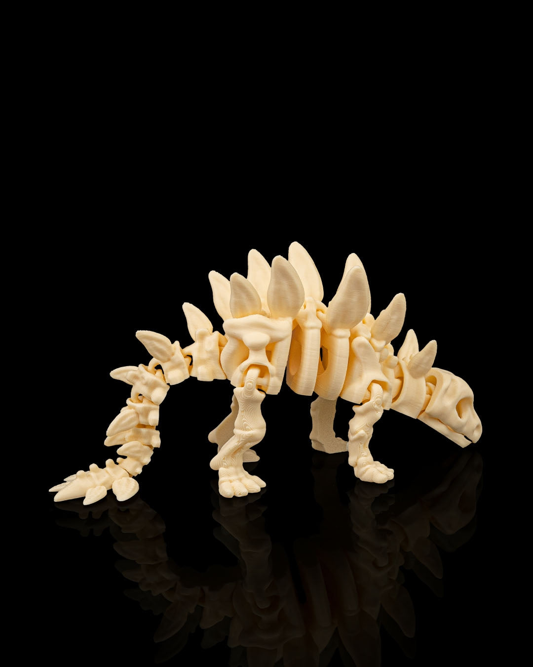 Stegosaurus skeleton figure rear view