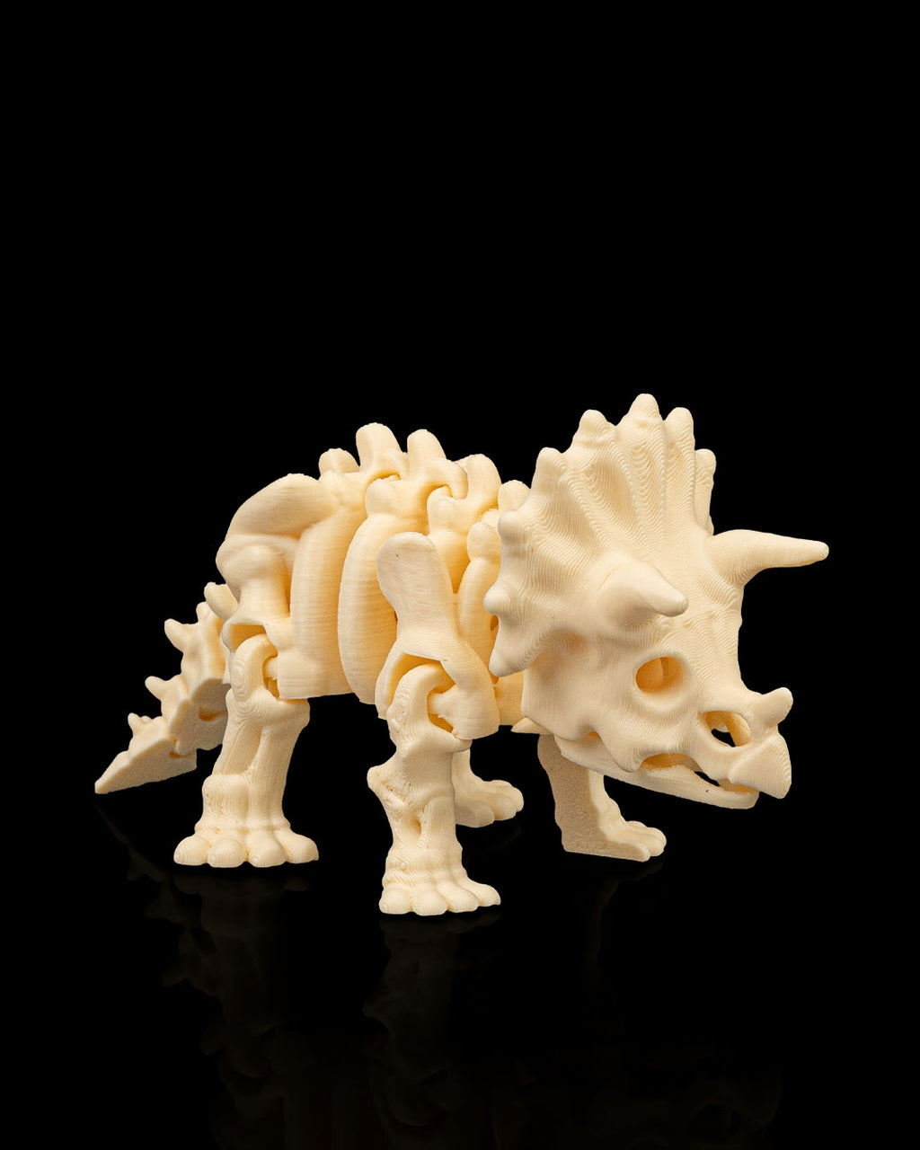 3D printed Triceratops skeleton figure