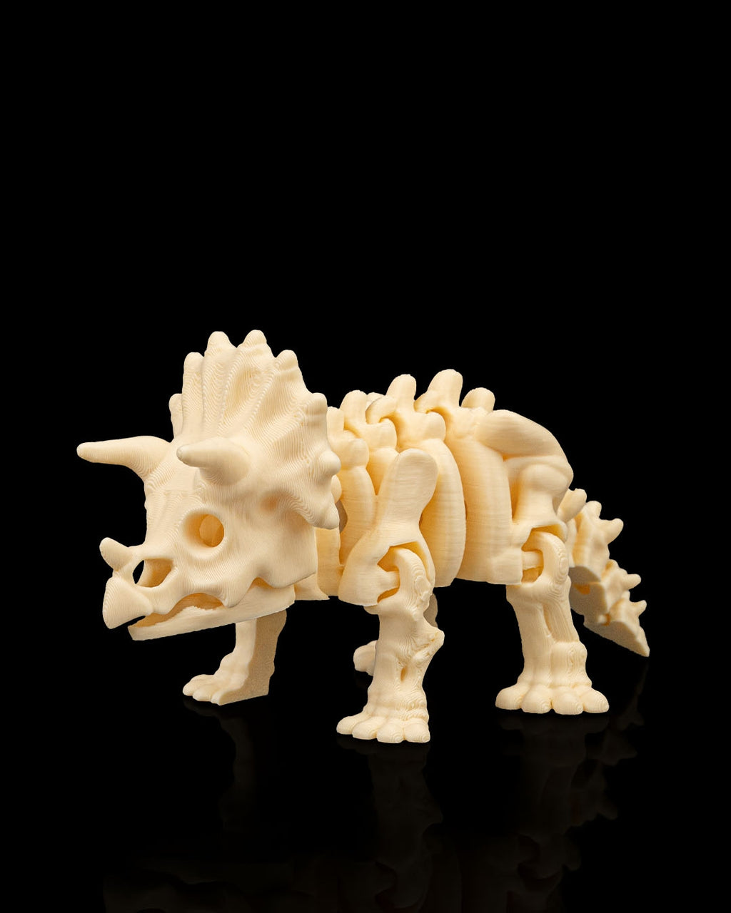 Triceratops skeleton figure alternate view
