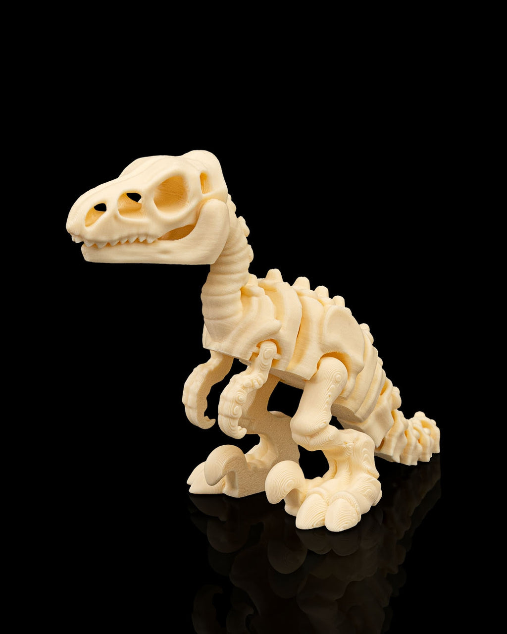 3D printed Velociraptor skeleton figure