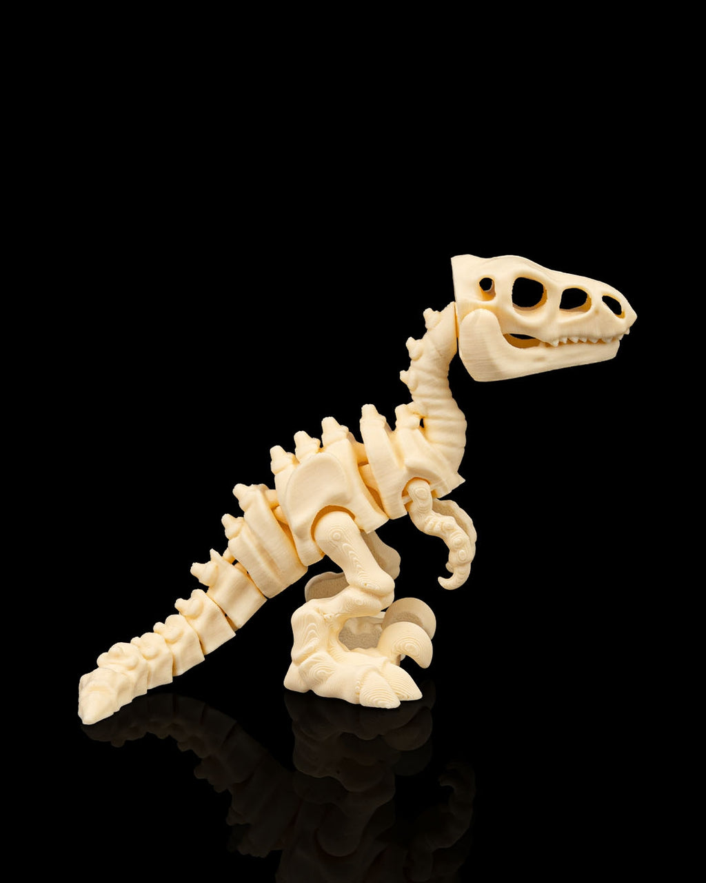 Velociraptor skeleton figure side view